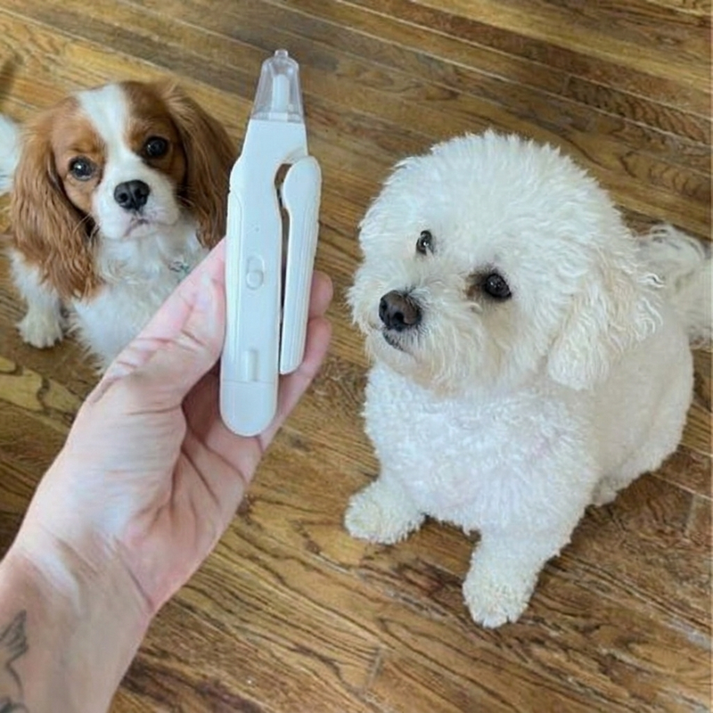 Megan + Bella