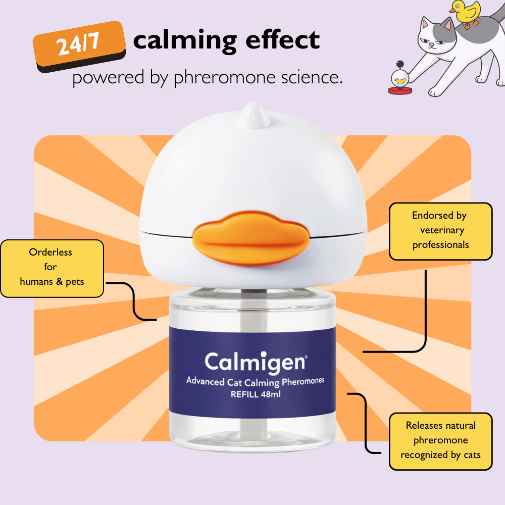 Cats Calming Diffuser Kit