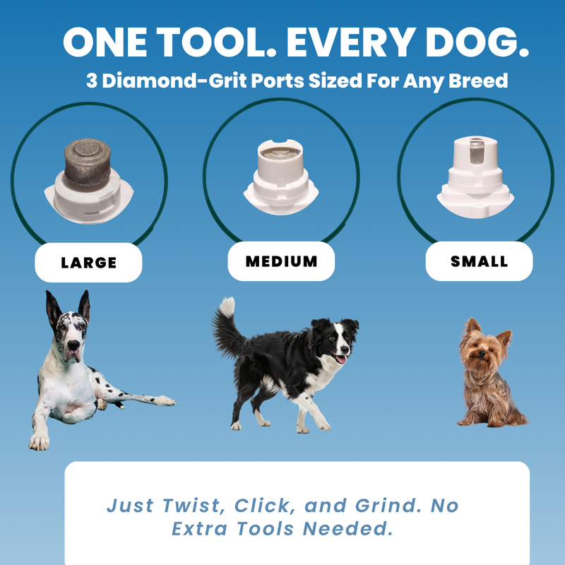 One Tool. Every Dog.