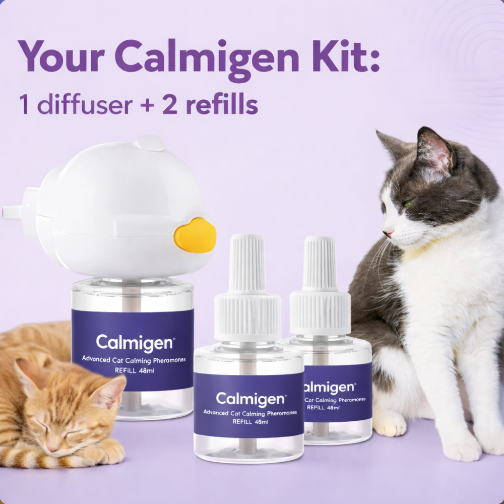 Cats Calming Diffuser Kit
