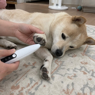 Paw Groomer®