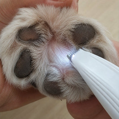 Paw Groomer®